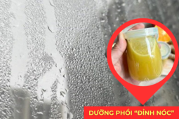 Tin tức sức khỏe - 3 thức uống rất tốt cho phổi hỗ trợ giảm ho, đàm trong những ngày nắng mưa thất thường