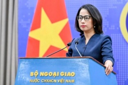 Việt Nam kiên quyết phản đối mọi hoạt động của nước ngoài ở đá Hải Sâm, đảo Ba Ba
