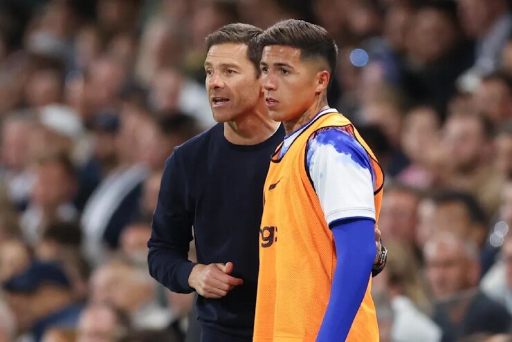 Xabi Alonso và Enzo Fernandez
