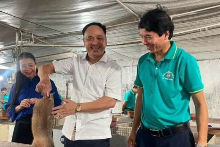 Nuôi con động vật hoang dã, chuyên gặm nhấm cây tre, nứa, một nông dân Hà Nội thu lãi hàng trăm triệu đồng