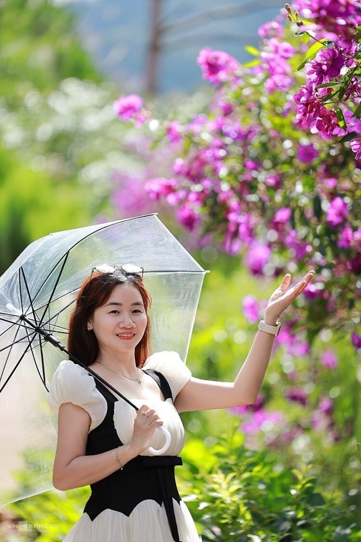 Chị Lê Thị Thu Sương, ở Quảng Ngãi, chụp ảnh với chiếc ô và hoa mua. Chị cho biết trước đây Đồi Tiên Nhân thường xuất hiện trên mạng với ảnh chụp từ quán sang ruộng bậc thang phía dưới. "Năm nay, hoa mua nở rộ nên quán có thêm góc chụp mới lạ", chị nói.