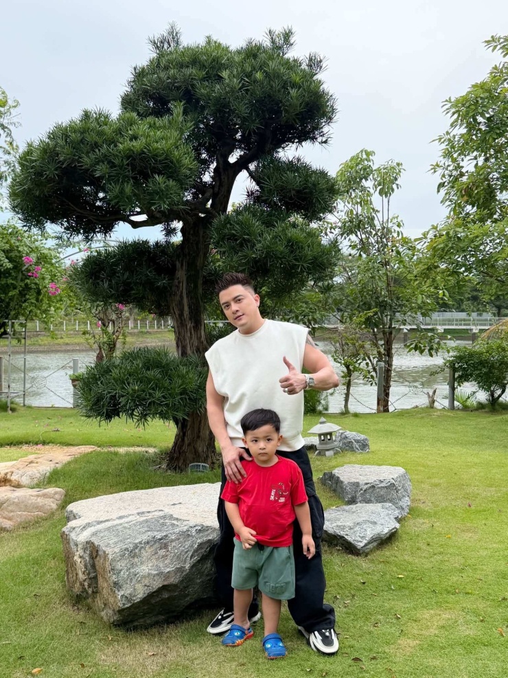 Cây tùng Nhật được định giá tiền tỷ.