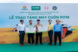 Phân bón Cà Mau mở lối canh tác lúa thích ứng biến đổi khí hậu