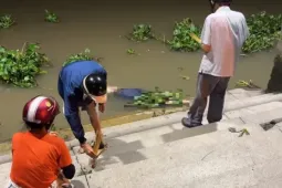 Hai thi thể dạt vào bờ sông Sài Gòn, một người mang theo cục bê tông