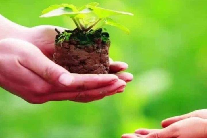 Làm ngay việc này trước khi hết tháng 7 âm lịch để bỏ lại điều không may theo quan niệm dân gian