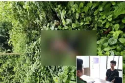 Khám phá vụ giết người, cướp tài sản tại khu vực biên giới An Giang