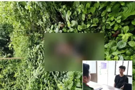 Khám phá vụ giết người, cướp tài sản tại khu vực biên giới An Giang