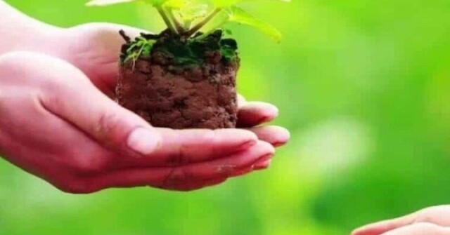 Làm ngay việc này trước khi hết tháng 7 âm lịch để bỏ lại điều không may theo quan niệm dân gian