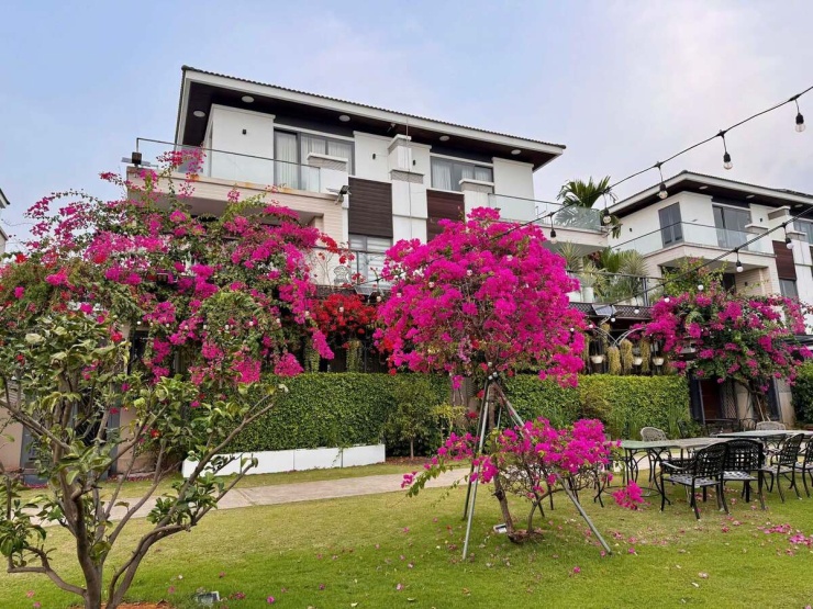 Vườn cây trước biệt thự 350 m2 của Cao Thái Sơn ở Nhà Bè - 5