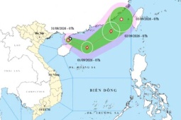 Đường đi dị thường của áp thấp nhiệt đới trên Biển Đông