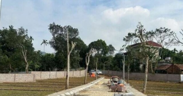 Đất nền sau cơn sốt: Có nơi giá rao bán giảm còn 1/4 đỉnh
