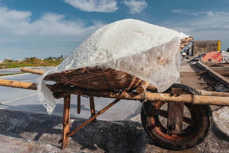 Người dân thu hoạch muối vào rổ rồi chất lên các xe rùa để mang về lán.