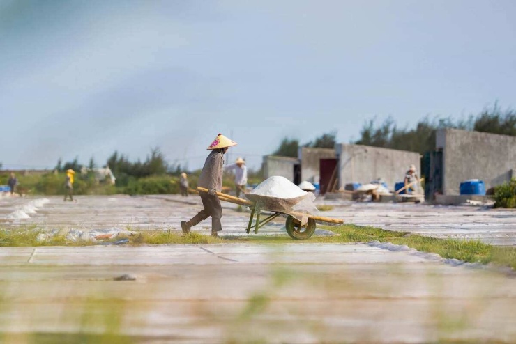 Chỉ một thời gian ngắn sau khi đổ nước, các tinh thế muối dần xuất hiện. Mặt ruộng lấp lánh một màu trắng. Khi mặt ruộng kết tinh hoàn toàn, diêm dân nhanh tay cào muối thu hoạch.