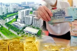 Có tiền nhàn rỗi nên đầu tư gì lúc này?