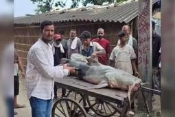 Phát hiện cá 'lạ' cỡ khủng sau lũ quét từ Nepal, Ấn Độ ra khuyến cáo