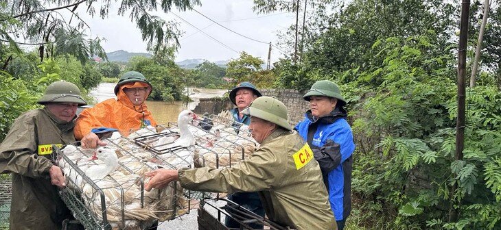 Miền Bắc sắp có đợt mưa lớn diện rộng. Ảnh: H.T