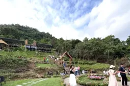 An Giang phạt hai chủ quán cà phê nổi tiếng