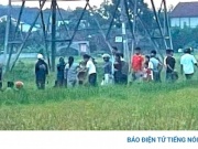Bị phóng điện, người đàn ông lái máy gặt lúa ở Nghệ An tử vong