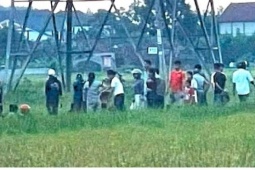 Bị phóng điện, người đàn ông lái máy gặt lúa ở Nghệ An tử vong