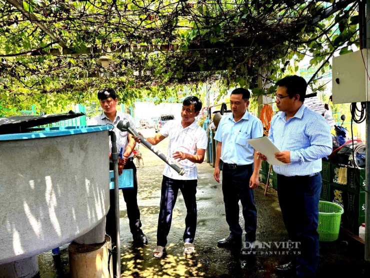 Anh Võ Thanh Liêm (cầm ống nước) đứng cạnh hệ thống ấp trứng cá lăng nha đuôi đỏ. Ảnh: T.Đ