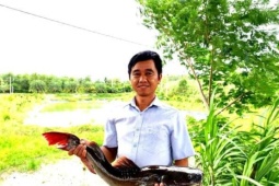 Anh nông dân Tây Ninh chế máy ấp trứng loài "thủy quái" sông Mekong, lấy nước để thu cá bột