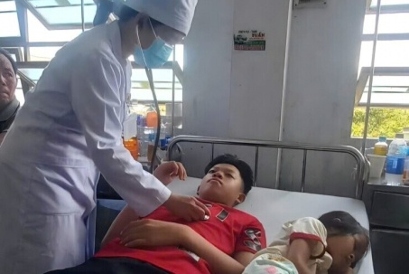 Vi khuẩn Salmonella trong nhân bánh mì khiến 254 người ngộ độc tại An Khê, Gia Lai