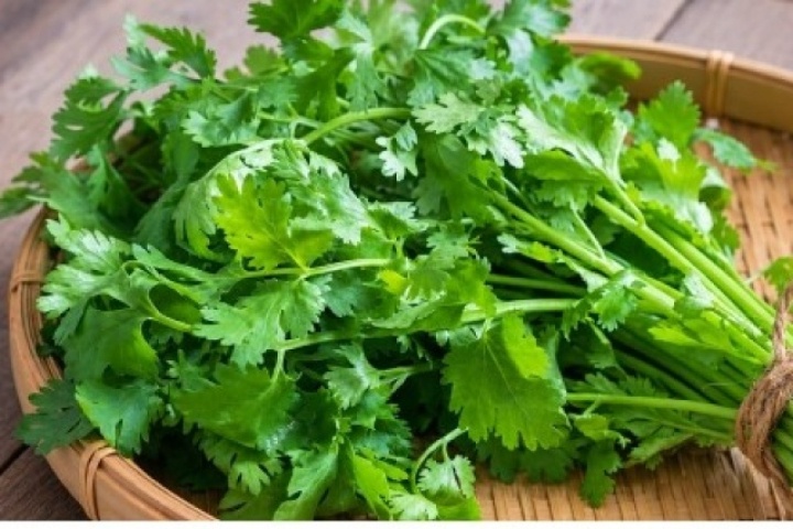 Cây thuốc giá rẻ vừa làm gia vị, vừa bổ dưỡng từ trong ra ngoài
