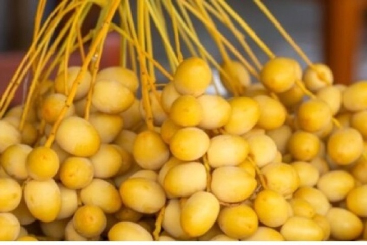 Loại quả cắn dọc thì ngọt, cắn ngang thì chát bổ đủ đường lại ít người biết