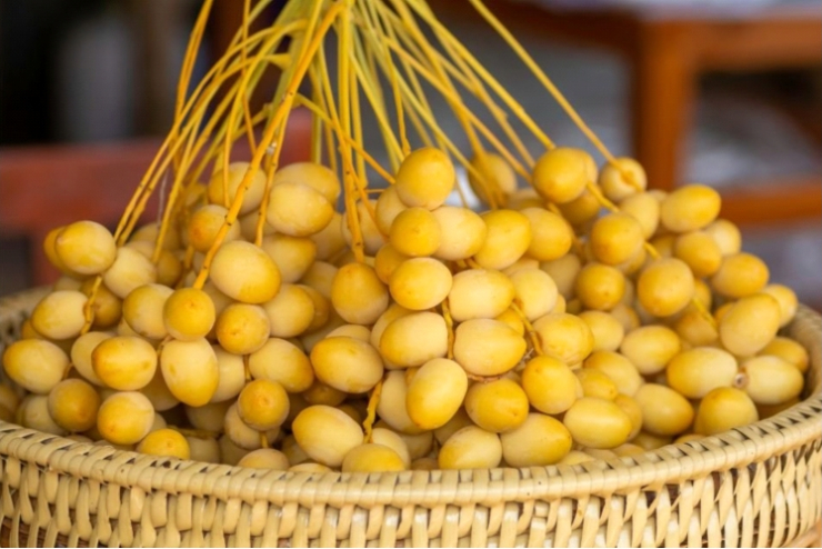 Thêm chà là vào chế độ ăn hàng ngày sẽ mang lại những thay đổi tích cực rõ rệt cho cơ thể. (Ảnh: VTC News)