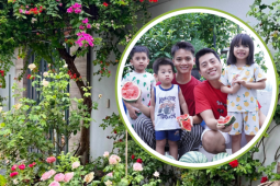 Hai ông bố chi 200 triệu đồng trồng rau, hoa hồng phủ kín ngôi nhà
