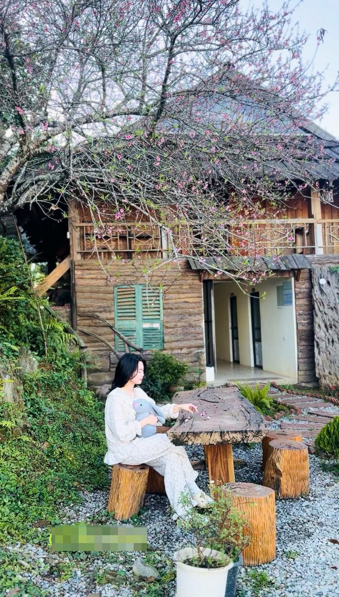 Vợ chồng trẻ cải tạo nhà cũ của người bản địa và xây mới thêm vài căn để làm homestay