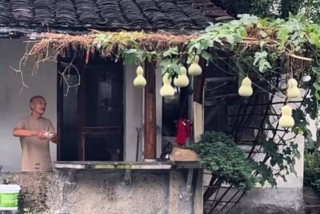Phiền toái vì giàn hồ lô nổi tiếng mạng xã hội