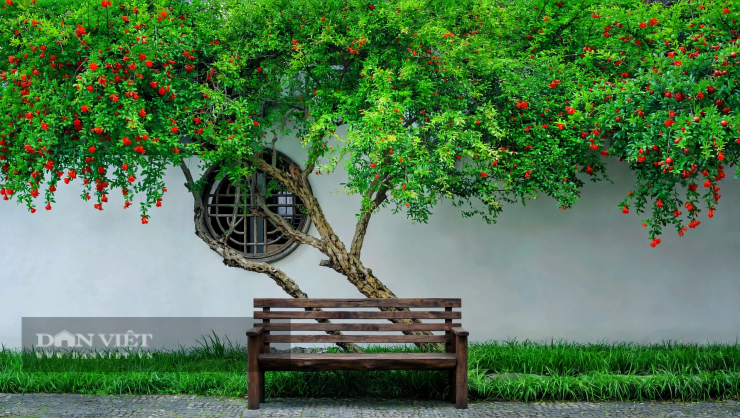 Vị ngọt ấy là vị của no đủ, của viên mãn.