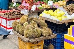 Sầu riêng 25.000 đồng/kg hút khách, loại cao cấp giá tới 1,8 triệu đồng