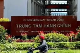 Sai sót thực hiện Nghị định 178: Lâm Đồng chỉ rõ trách nhiệm 3 nguyên lãnh đạo