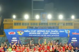 V.League đứng thứ tư Đông Nam Á về giá trị cầu thủ