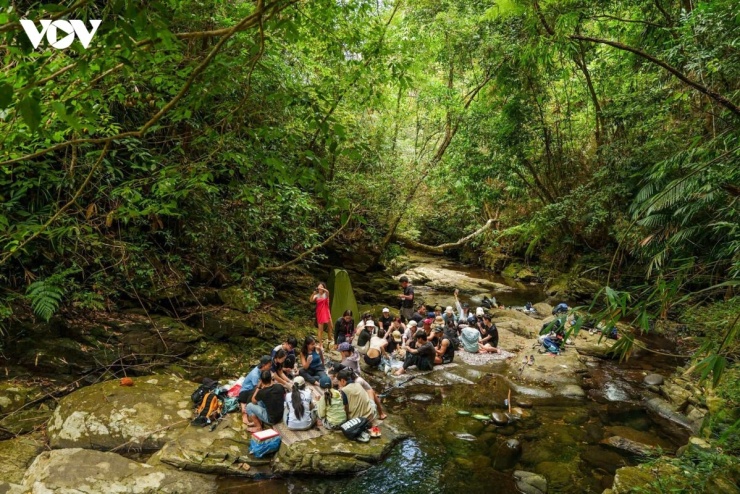 Một nhóm trekking trải nghiệm rừng Hòa Bắc, TP. Đà Nẵng
