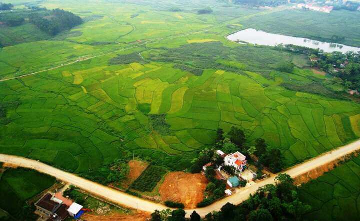 Đam mê dù lượn không chỉ giúp giảm căng thẳng mà còn là cơ hội để ông Nam khám phá cảnh sắc thiên nhiên.
