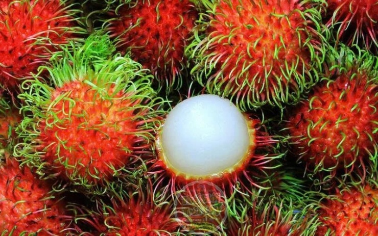 Bất ngờ với những lợi ích sức khỏe từ chôm chôm Thái - 1