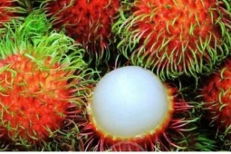 Bất ngờ với những lợi ích sức khỏe từ chôm chôm Thái