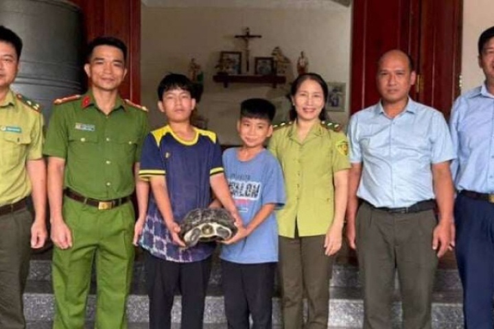 Đi câu cá, hai học sinh Hà Tĩnh phát hiện con rùa răng quý hiếm nặng 9kg bèn giao nộp cơ quan chức năng