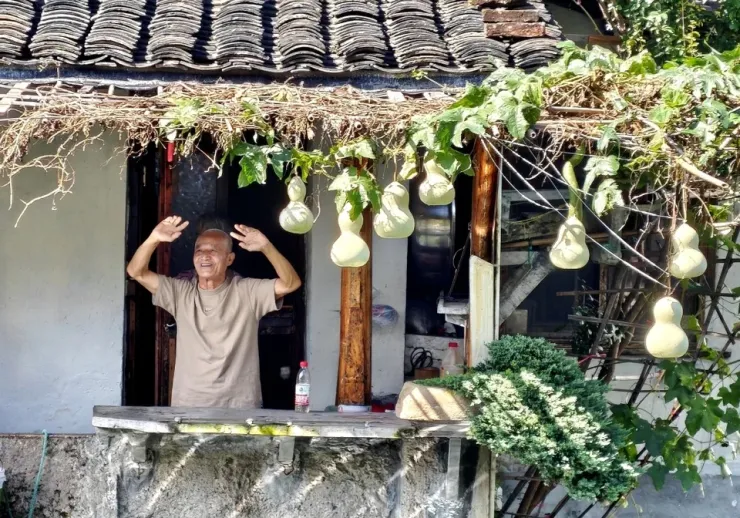 7 trái bầu nhà ông Ngao bất ngờ nổi tiếng. Ảnh: VCG