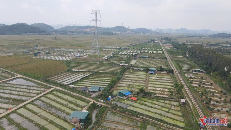 Xóm Thọ Châu - nơi được người dân địa phương ví như “thủ phủ” nuôi ốc bươu đen. Ảnh: T.T