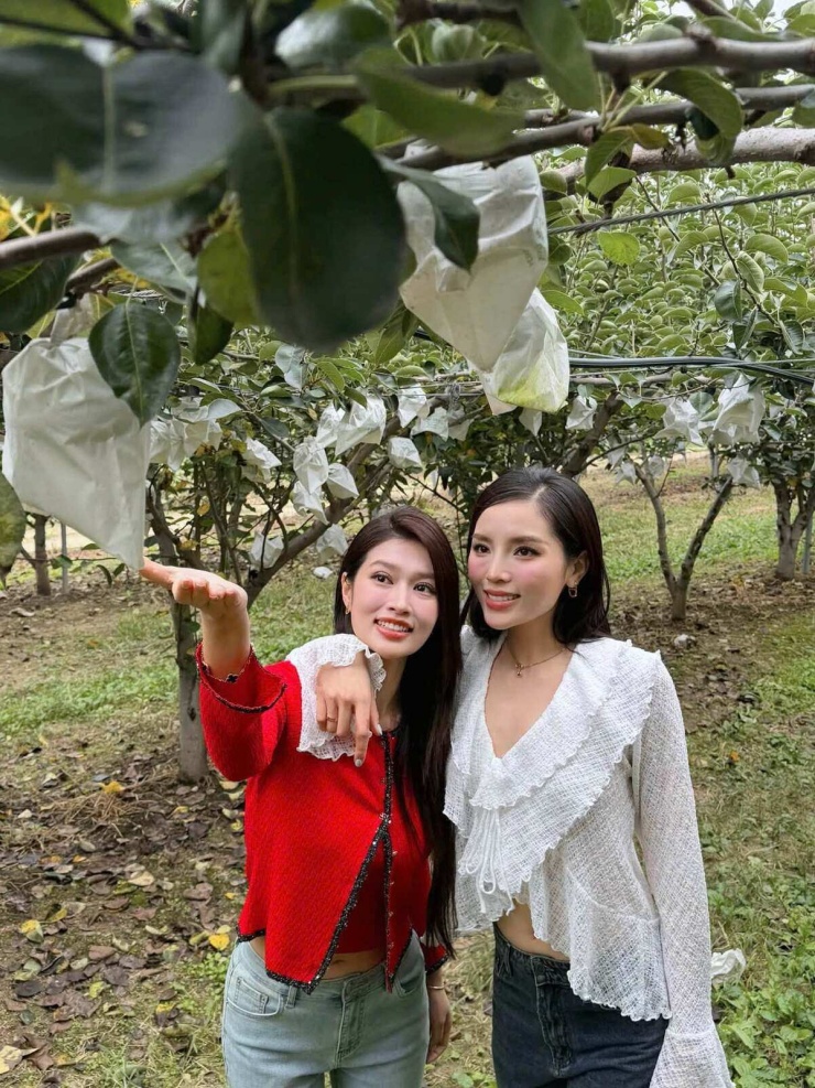 Ảnh sao 12/9: Ngô Thanh Vân cho con gái về quê ngoại Na Uy - 4