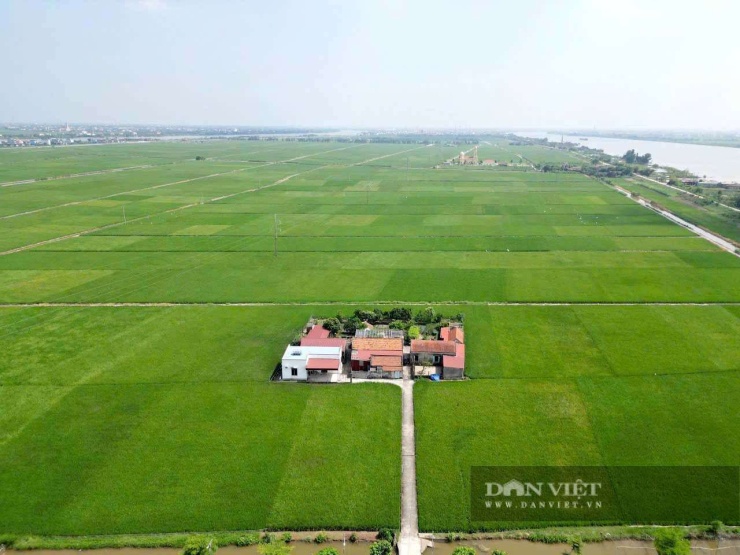 Giữa cánh đồng lúa xanh mát ở xã Nghĩa Sơn (tỉnh Ninh Bình), hiện lên cụm dân cư như "xóm đảo" thu nhỏ. Ảnh: Vũ Thượng