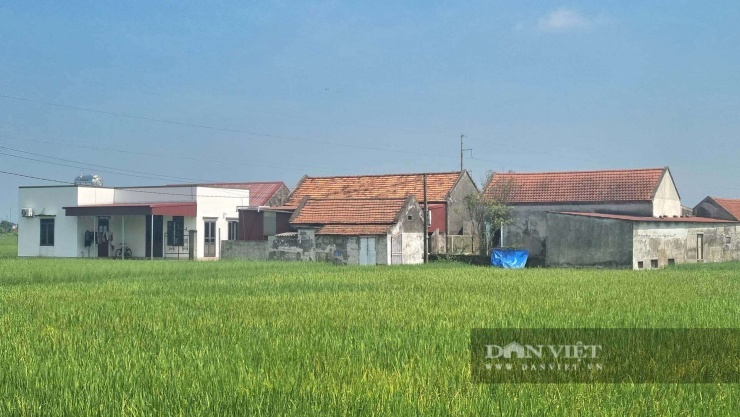 Người dân Bơn Ngạn chỉ tay về "xóm đảo" yên bình. Ảnh: VT