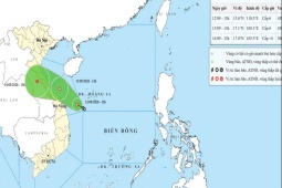 Áp thấp nhiệt đới hướng vào vùng biển Đà Nẵng, 15 tỉnh thành ứng phó