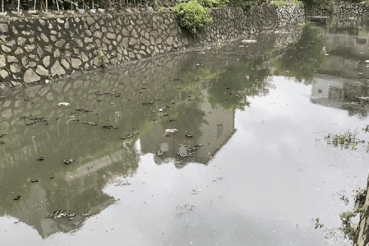 Nước đen kịt, nổi váng ở hào Thành cổ Vinh hơn 200 năm tuổi