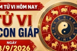 Tử vi 12 con giáp hôm nay 13/9: Ngọ yên bình, Dần tài chính tươi sáng