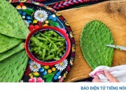 Loài cây tưởng chỉ để làm cảnh, biết dùng thành vị thuốc bổ tim, chống lão hóa